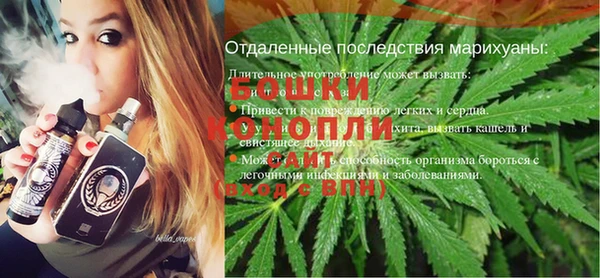 ешки Бронницы