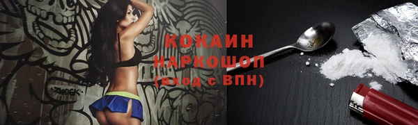 ешки Бронницы