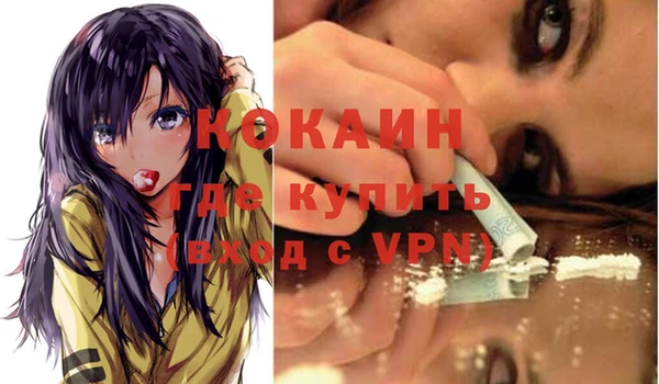 ешки Бронницы