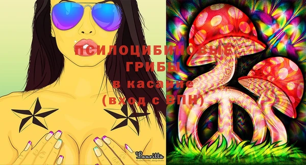 ешки Бронницы